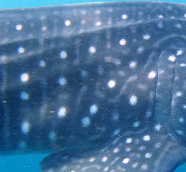 e46129b8-f24f-40ea-bbdf-a9a1013cc442