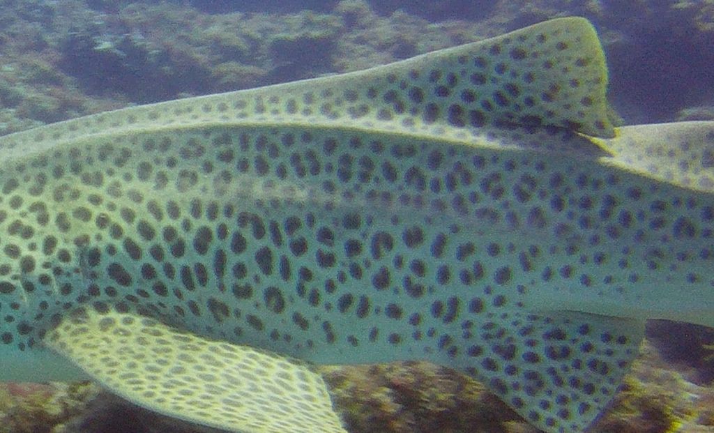 a8c0a623-ba24-474b-a92e-fce3210d4813