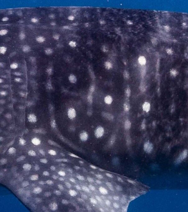 d4a5b074-3538-4aec-be86-d22190a96286