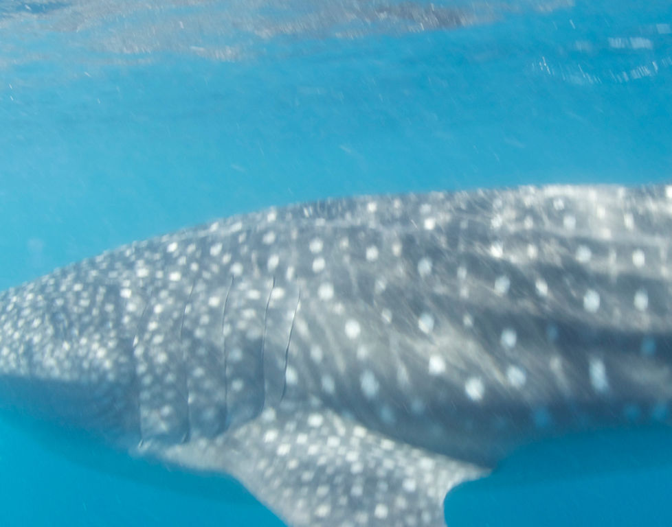 12b77eff-f217-446c-aba8-b4b462fdc8da