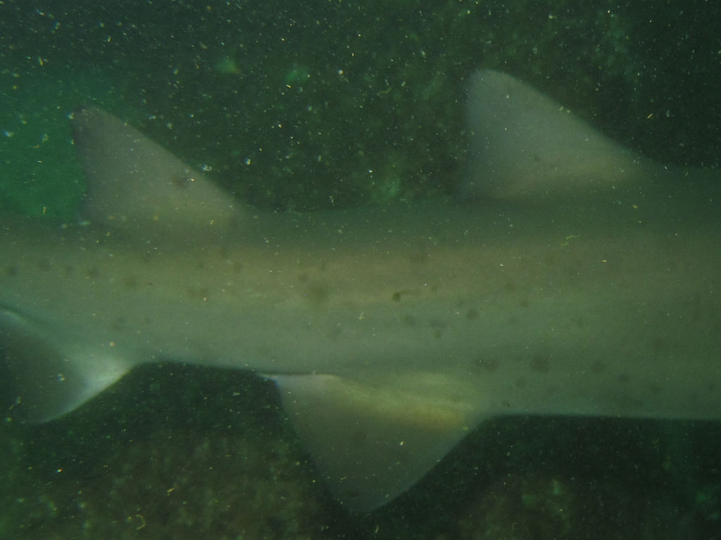 105c8d16-d3f0-4e17-9b65-5d4210ba5b91