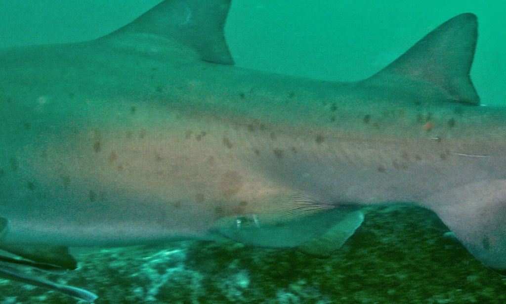 7f1253dc-cdcc-4ae8-8f09-26891f001657