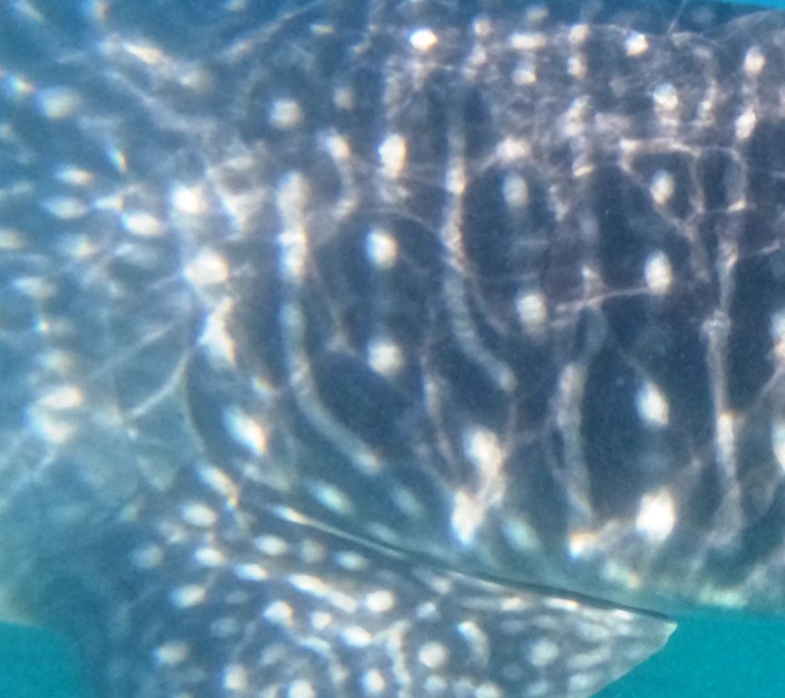 a7269452-005a-4add-892a-77c53a52b8c3