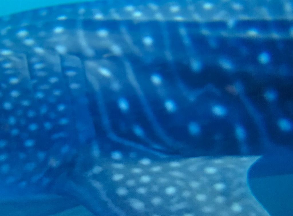 64c98d7e-bcd4-426e-af7f-cdcc0a9bf69d