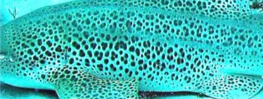 65120cdc-211a-4765-9f4c-e562a0d0b6e3