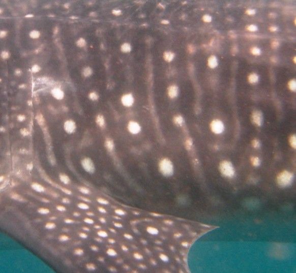 e02c2aa9-ceac-41ab-9784-44544ba189cd