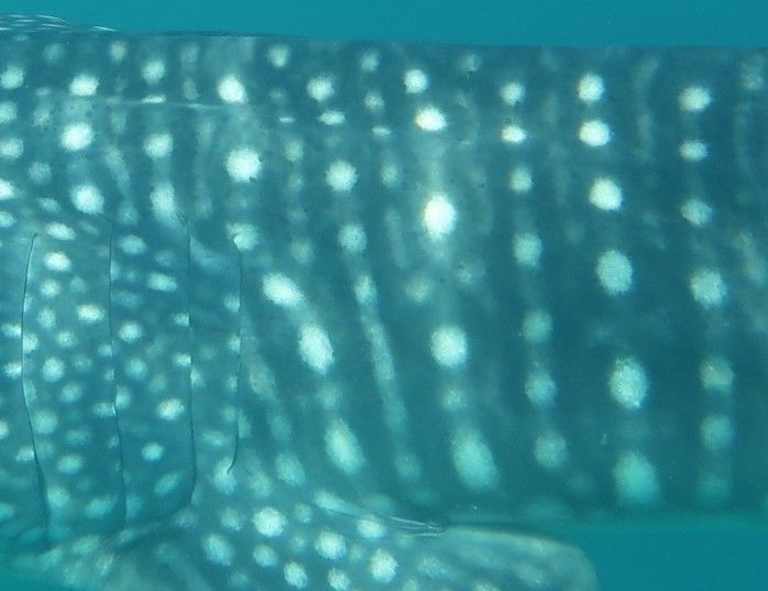 8673150f-d3e6-4725-9dfe-4394aa1bd410