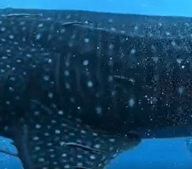 381de5e1-5300-4dfc-b21f-7d51cbe20fea