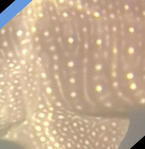 2fc95a0f-8681-455e-a549-ce564163d8a2