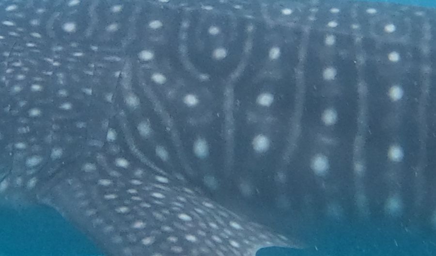 2b13b49c-fab5-4ba1-90a0-e90f3b0d7ae4