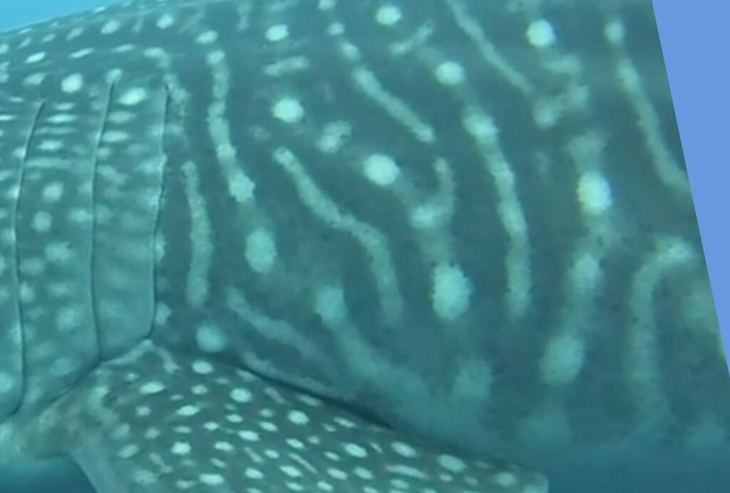 3d479272-8016-444b-97af-8b68b23d1917