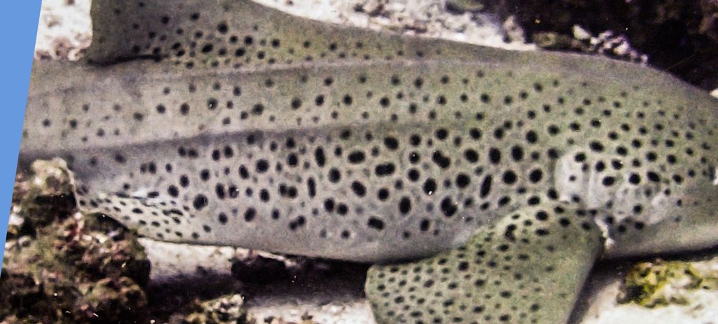 0ae70274-7aba-465c-a89c-11f5c6167af4