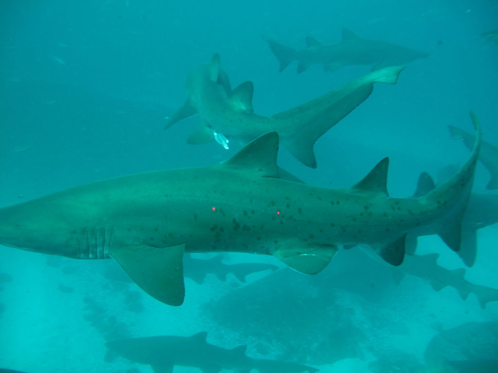 479c3143-de76-4247-8985-cef58170b59d