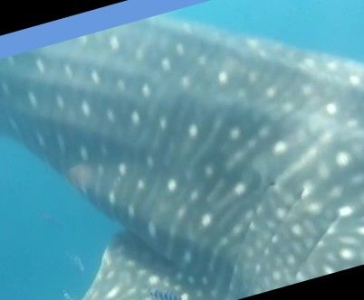 8c5265d7-ec19-4269-a783-575c439c7e3d