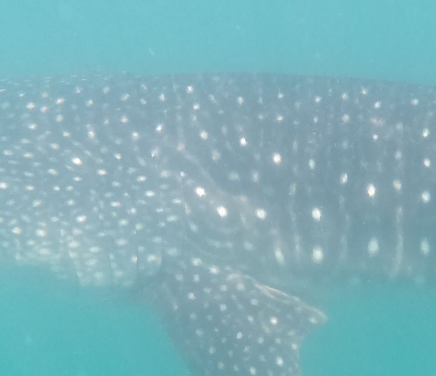 1670ceee-867f-4c4d-a07f-0669c2481785