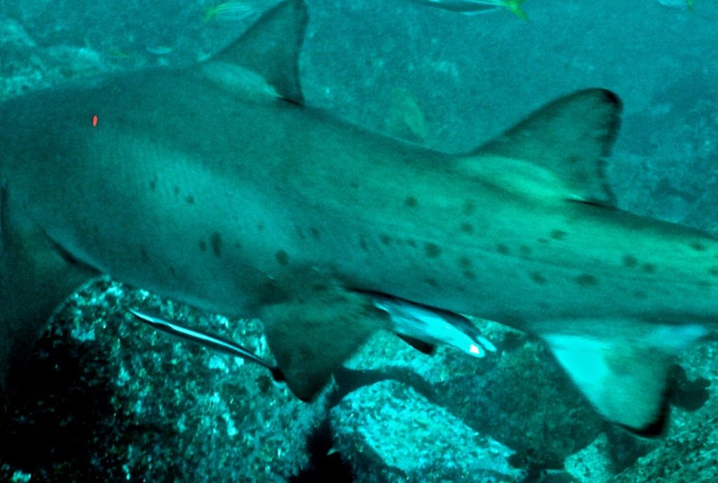 906e2234-b91e-4f46-a150-80f83078ca93