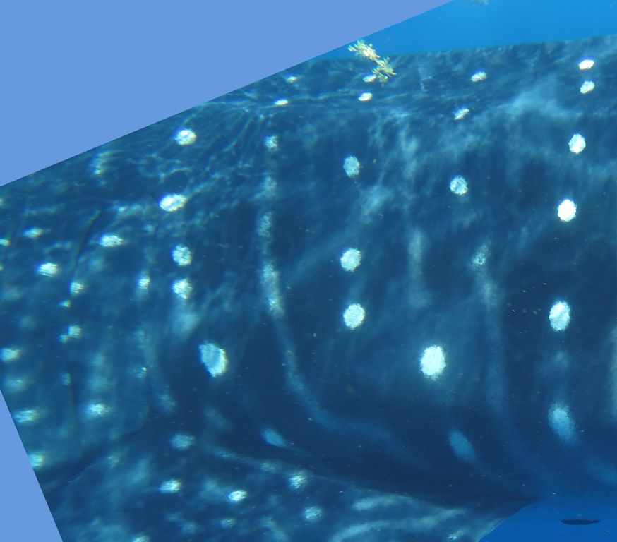 59fcdc48-9dfb-4b85-b198-001499d3d6e1