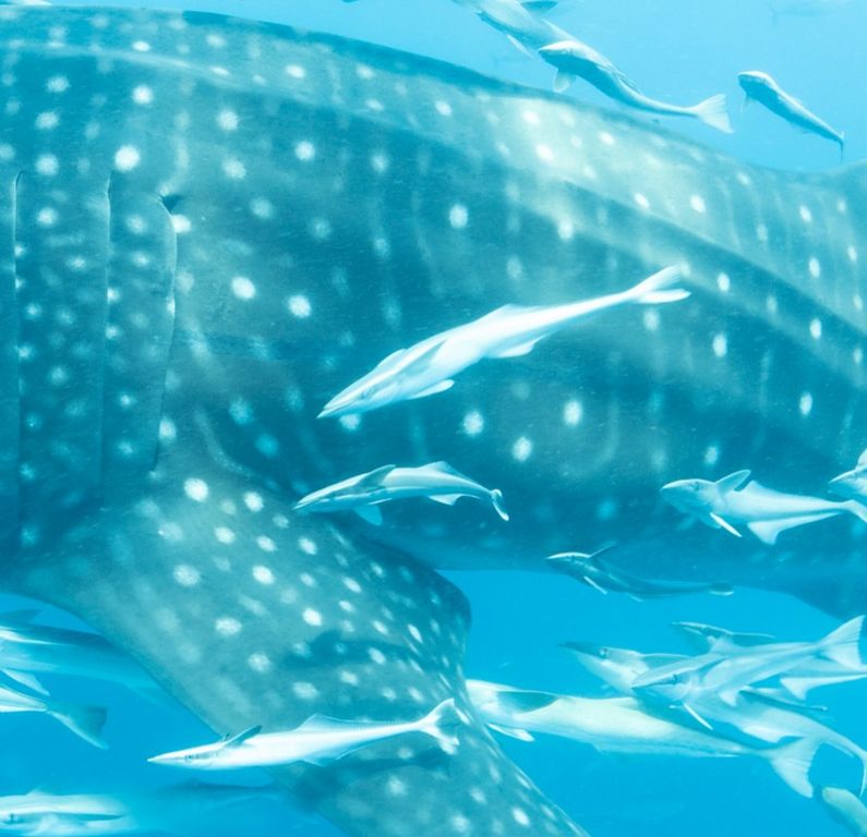 63e9fa01-0366-4bef-8be6-3dad59ab06bf