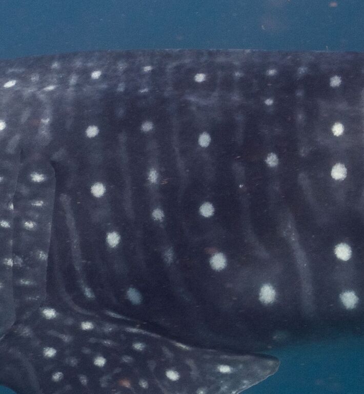 4226cb71-7431-49b7-907c-49d084ef4b70