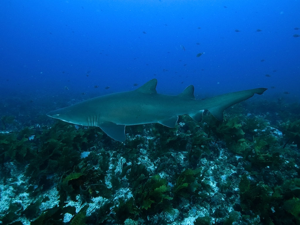 0b7c13e4-c46d-4557-8dab-9b7b21cafb93