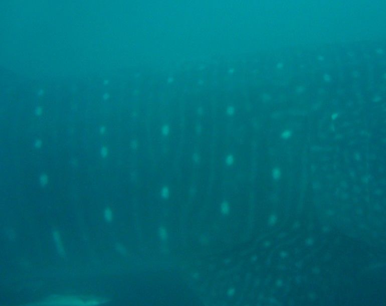 3bb9aa64-f2f2-42d7-911d-21b2340887ea