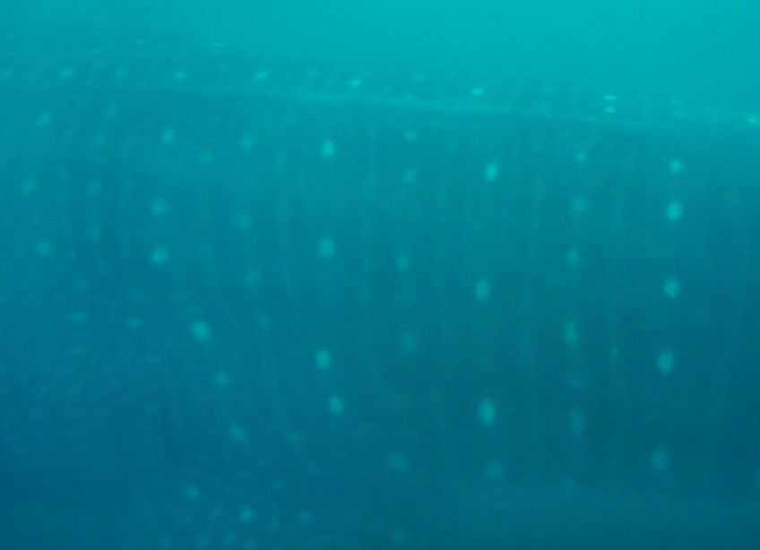 3bb9aa64-f2f2-42d7-911d-21b2340887ea