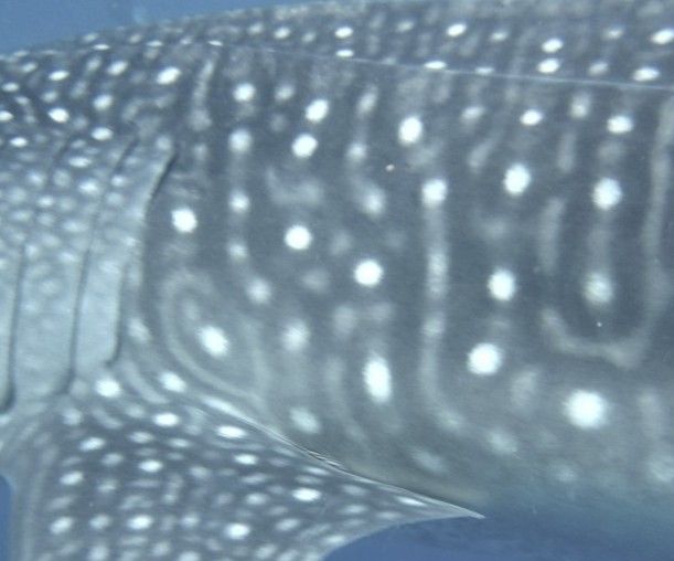 e28b2e31-7192-45ed-a0fb-6013c976f22c