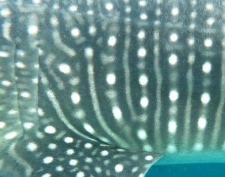 c85881ae-b773-4196-8ff2-bf542872e7ab