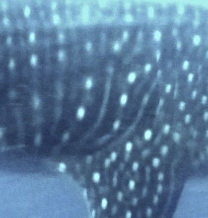 c85881ae-b773-4196-8ff2-bf542872e7ab