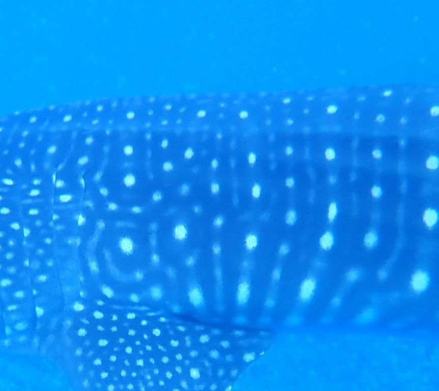 4dca644b-6083-4777-9f29-13c524945375