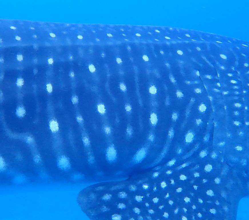 4dca644b-6083-4777-9f29-13c524945375