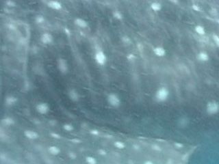 240a2bd3-5ecb-4b92-bfb9-8220d5b0c119