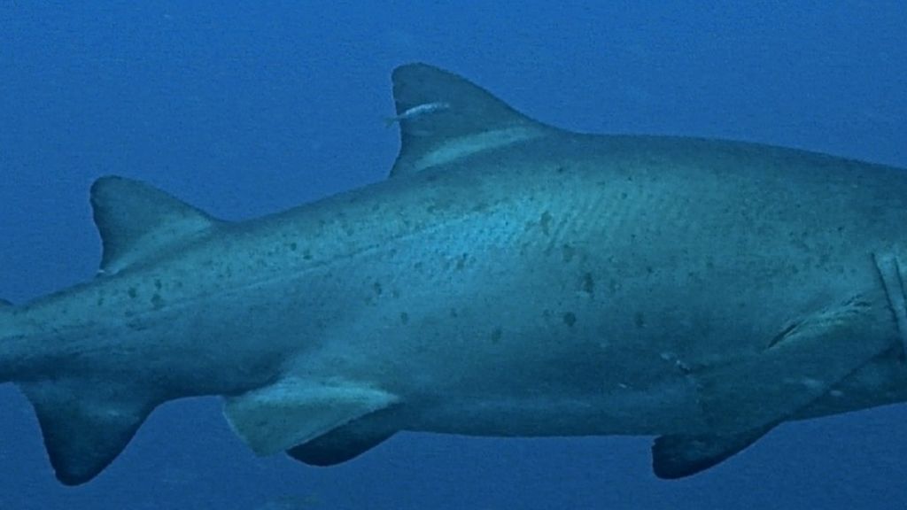 c5a67abc-1b24-41b9-b8dd-d05cfaf79346