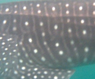 56467ced-ac27-4aca-b7fc-bb0ebc0a469c