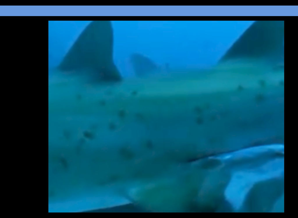 9904cb52-5d33-403f-aba1-f7a4d37670ce