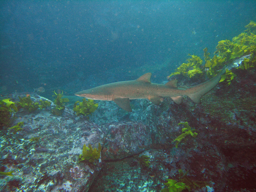 4cc2dc1e-c0e0-4361-8eef-2021344a5650