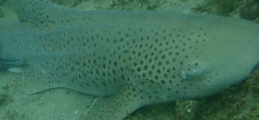 8f7a1c0e-e262-4b33-a769-5a4aa5b4c066