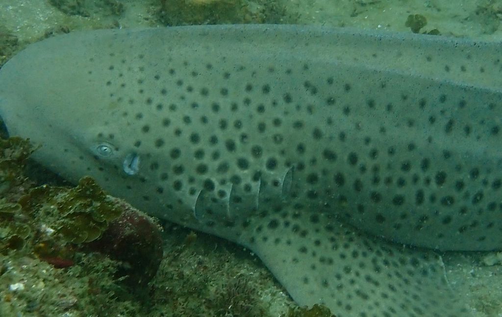 8f7a1c0e-e262-4b33-a769-5a4aa5b4c066