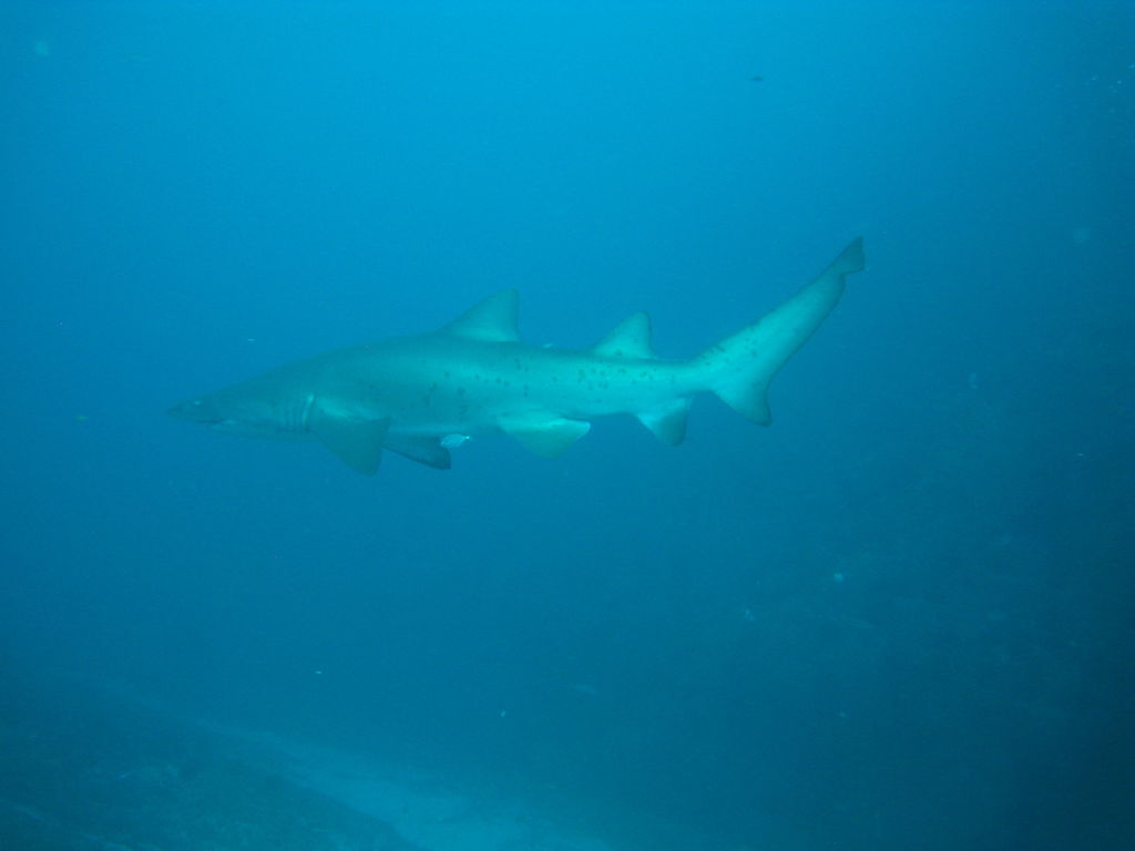 0ac70106-5a54-4ec9-87be-1b108dde41fa