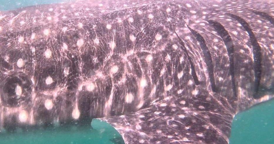 cc0f3188-70f3-4001-a19a-f4582780544a