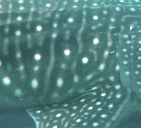 2dad5e7b-b647-4a1a-8471-eaed282c3eab