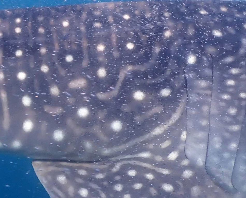 caf1377c-a89b-4b52-ba14-e68cfe72a421