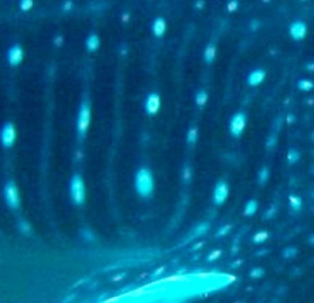 f9131dfb-d0d9-4280-8ee6-eac69a14022a