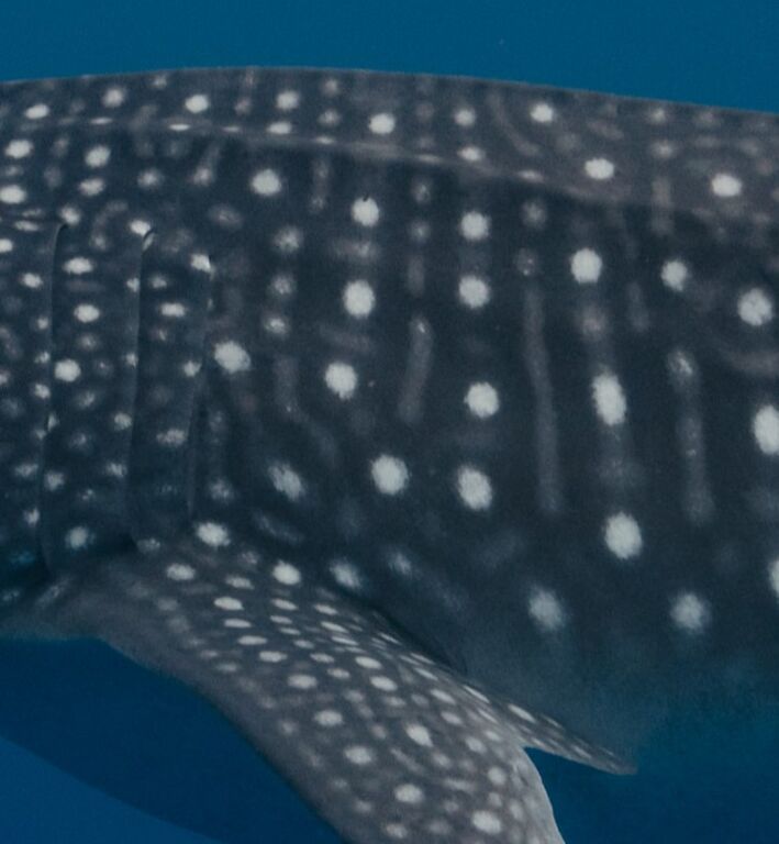 8858299a-4c7e-45d0-8fed-cbc32a911ebd