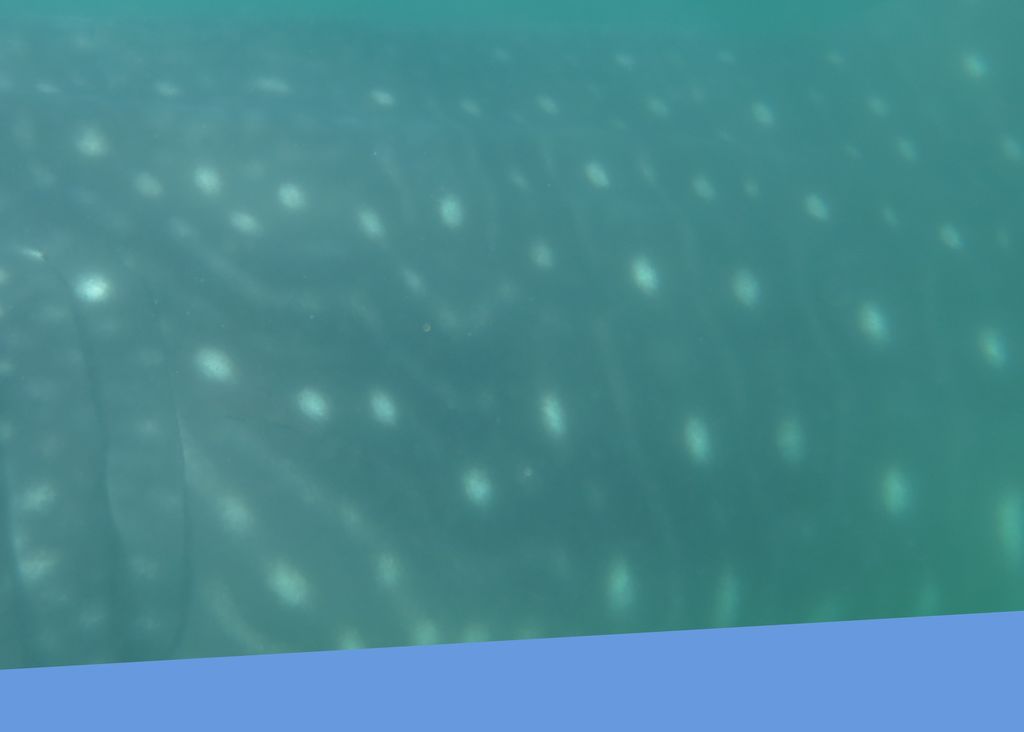 91ce1fb9-e430-49fa-b486-a79a43e9d264