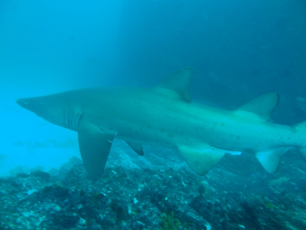 8b61ad91-b36d-47f6-98ac-60c57144ef4f