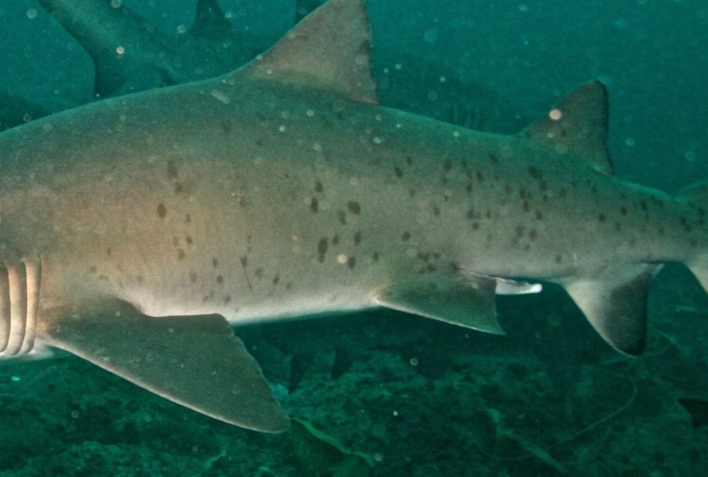 036d0d1a-b920-4395-821b-de4662407f64