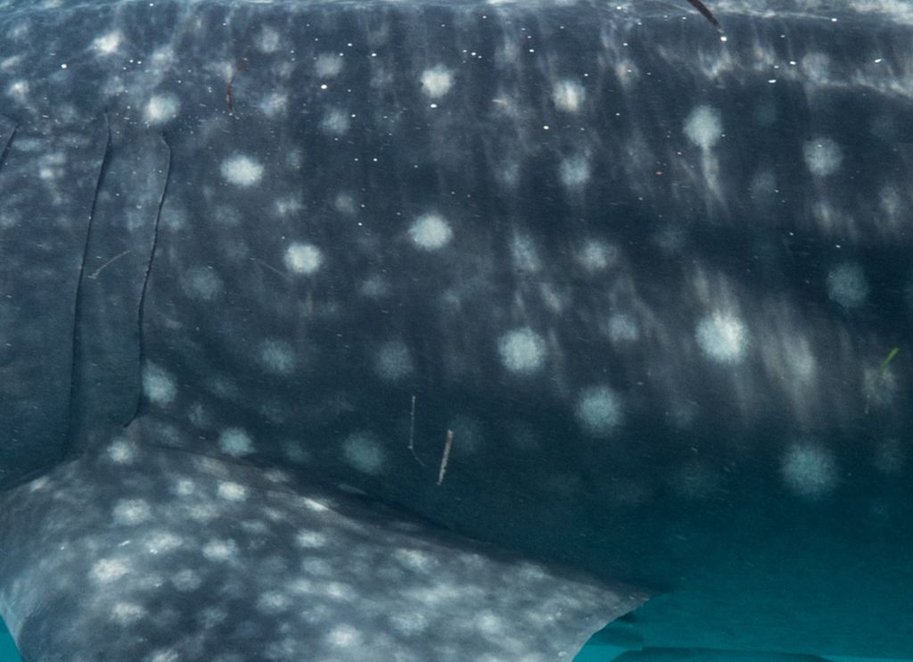 0712e104-be9b-4251-91db-3647ae4978ff