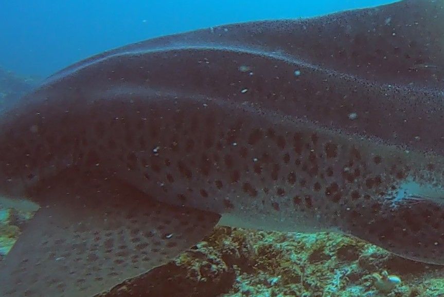 a50a3a04-e02e-4a51-ab1f-556ead886766