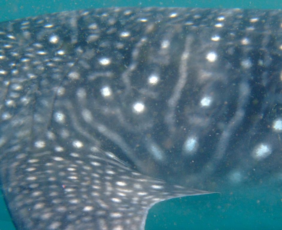 9f58cebe-81e7-49bc-9f2d-f1f8657e1305